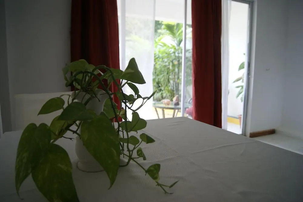 Hotel San San Tropez Port Antonio