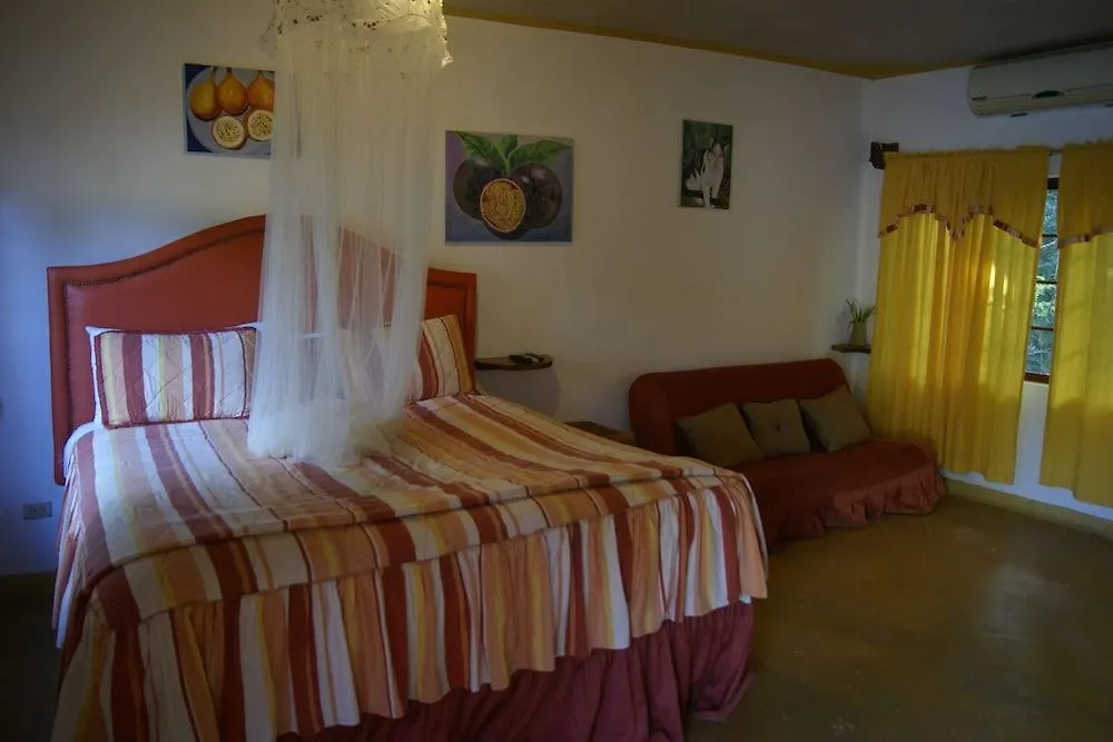Hotel San San Tropez Port Antonio