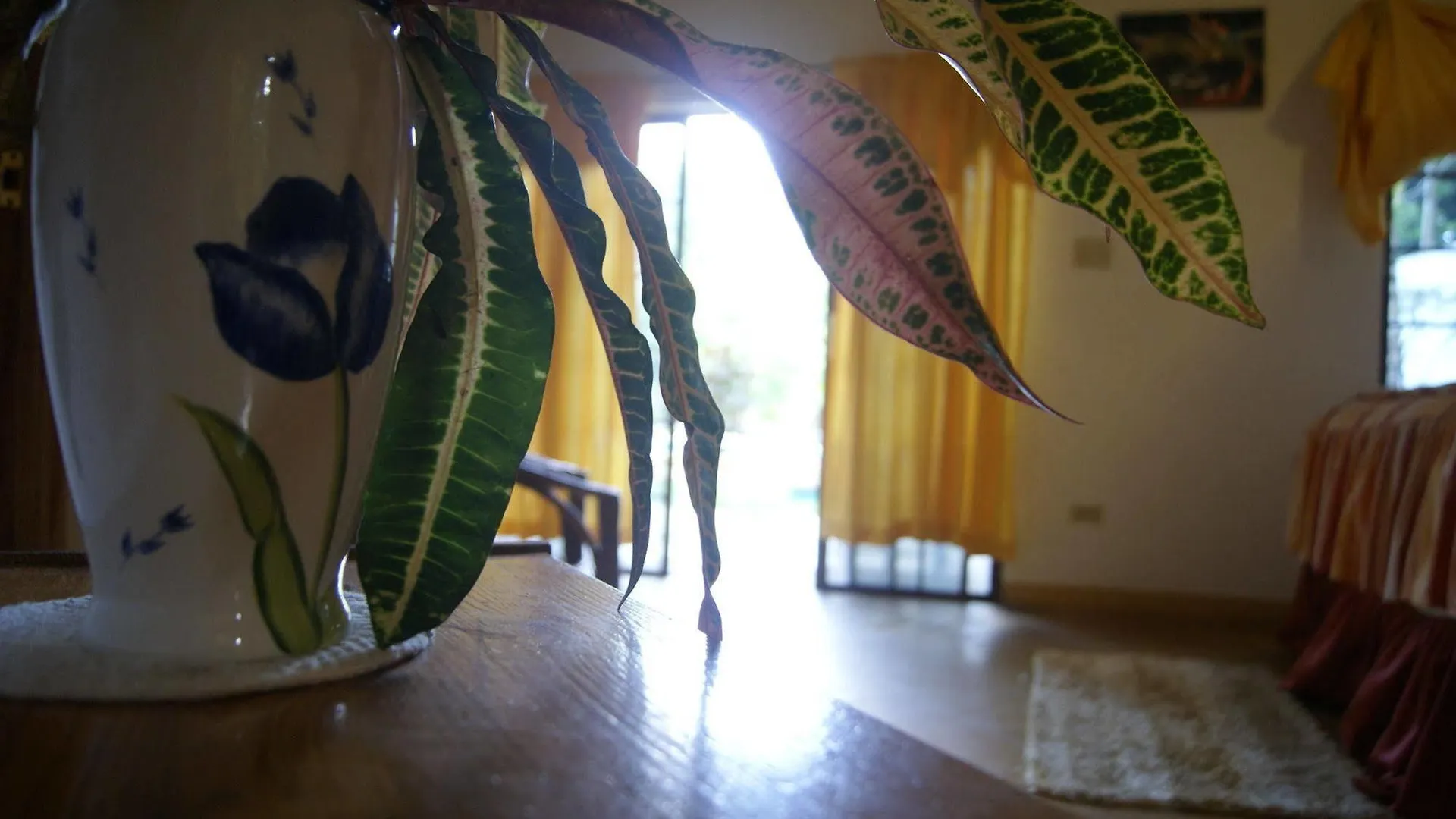 Hotel San San Tropez Port Antonio